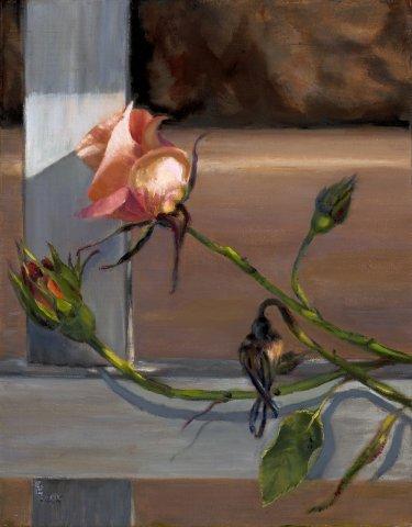 18 Life Cycle of the Rose 11x14
